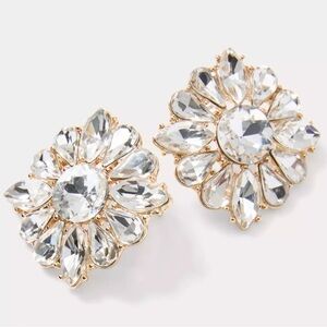 NWT Lilly Pulitzer Spicy Socialite Stud Earrings